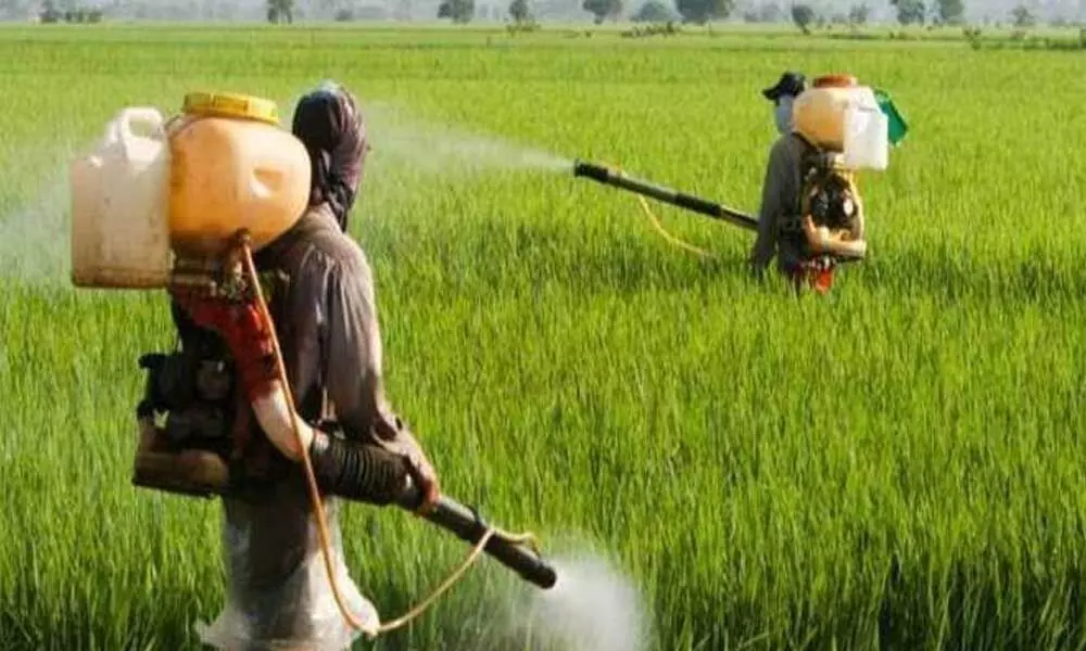PMFAI pitches for hike in import duty on pesticides
