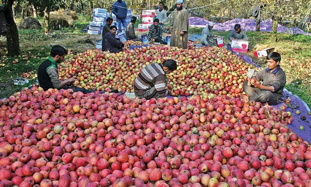 J&K eyes food sector in Gulf countries