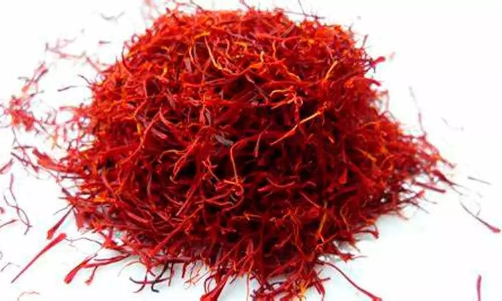 Kashmiri saffron goes on desert safari Kashmiri saffron goes on desert safari