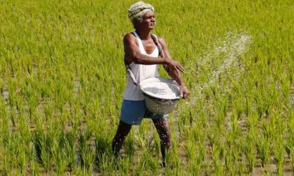 BSE launches e-Agri spot market platform