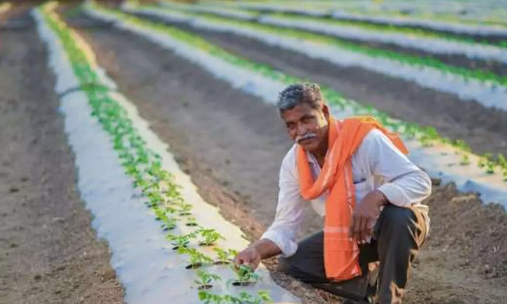 Agritech startup AryaCollateral raises $21 million in Series B round