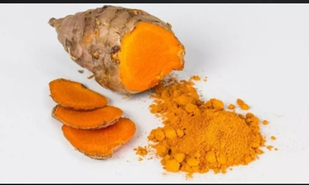 Now Meghalayas Lakadong turmeric reaches US