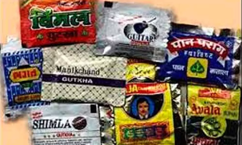 Tax smokeless tobacco products uniformly: Docs