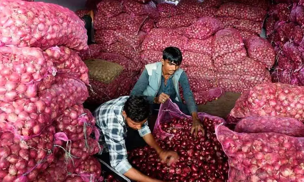 Govt extends relaxed norms for onion imports till Jan 31