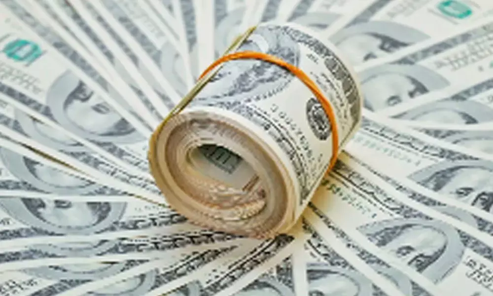 Minority-owned cos wait for months for loans in US