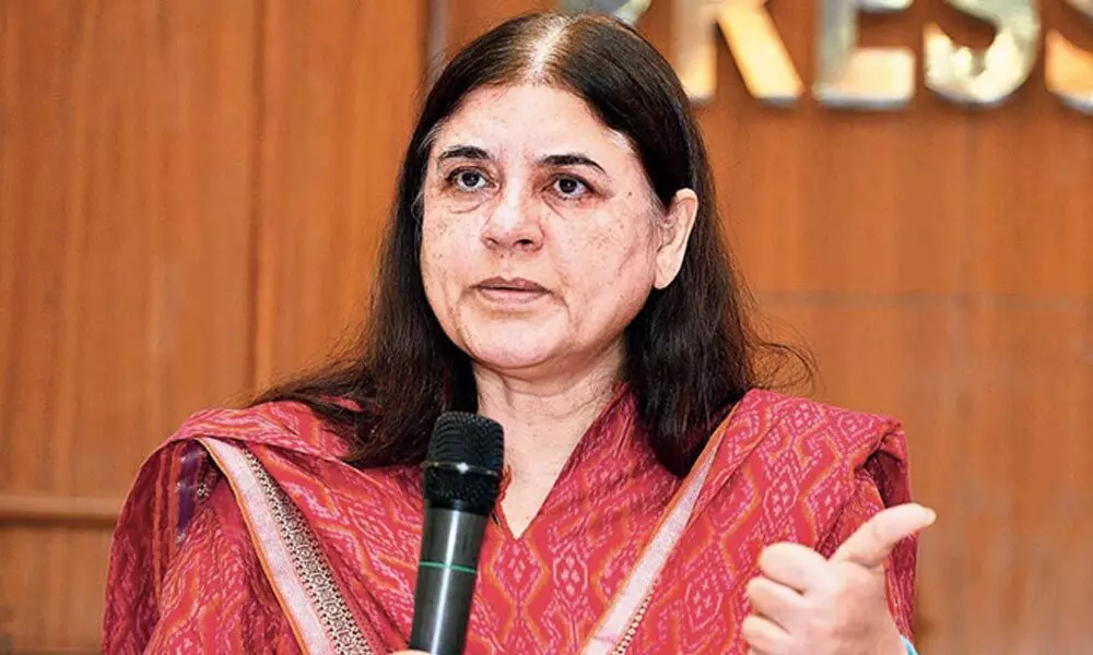 Maneka Gandhi Maneka Gandhi