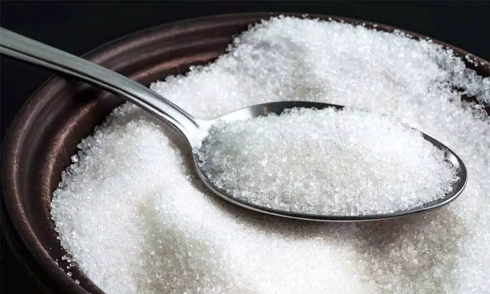 Sugar output up 31% at 142.70 lakh tonnes