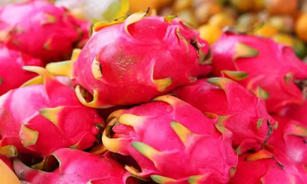 Gujarat decides to rename dragon fruit as Kamalam