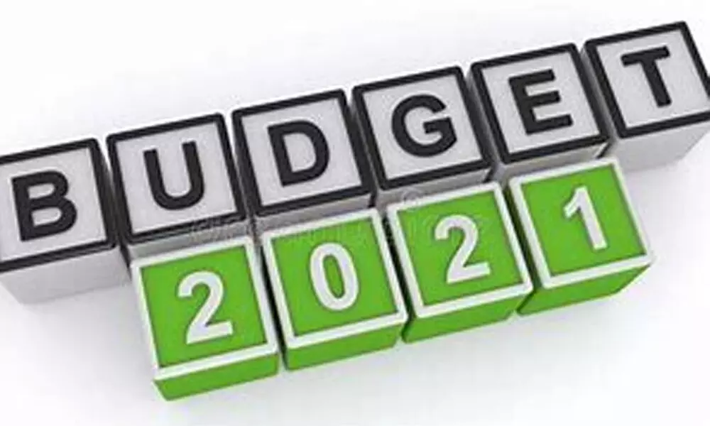 Budget 2021: The insurance industry seeks tax incentives from govt to woo customers