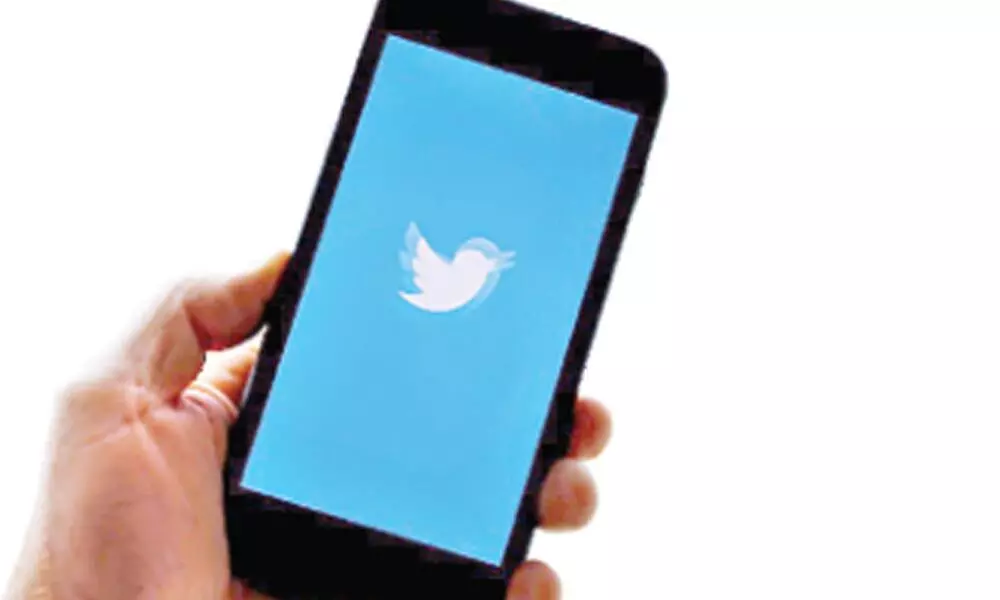 ]Thanks pandemic, Twitter user base surges