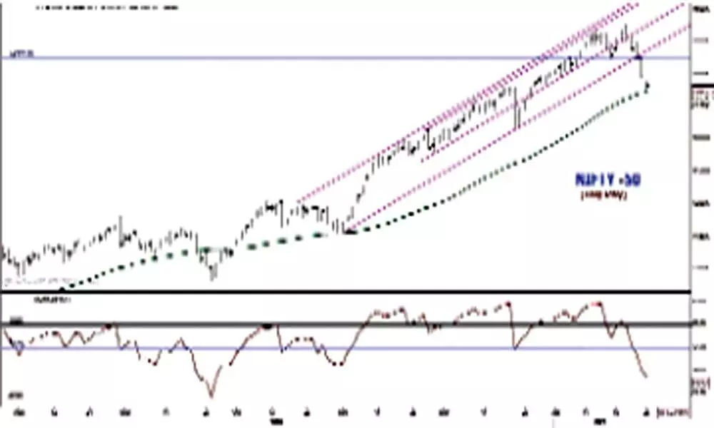 NSE Nifty is stable, further fall unlikely