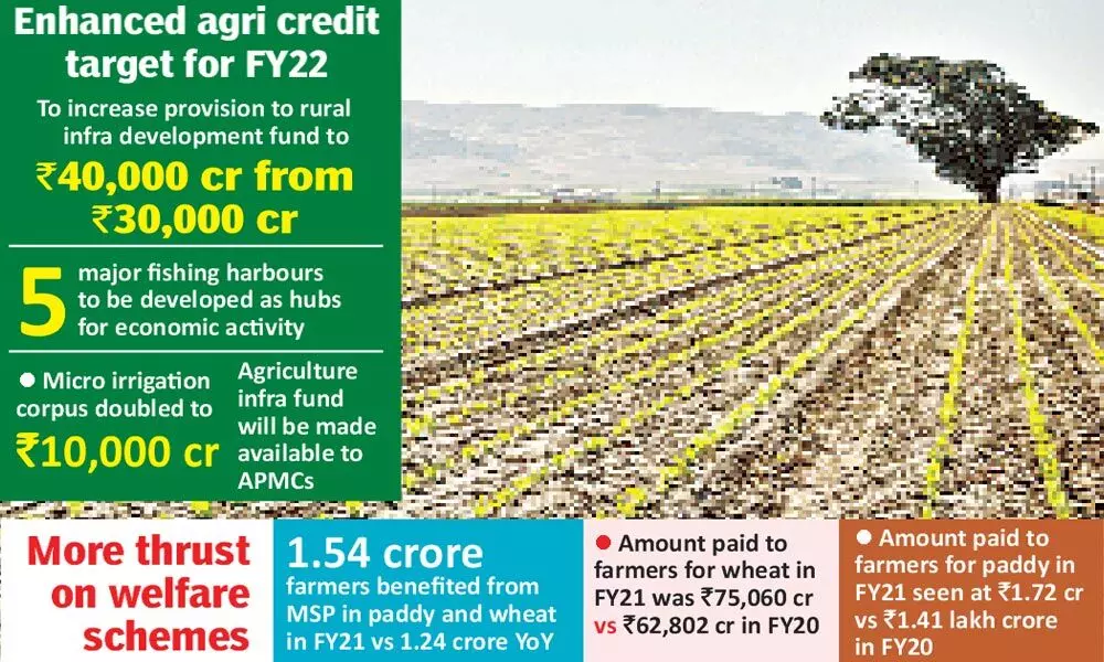 FM announces measures to Boost agri sector