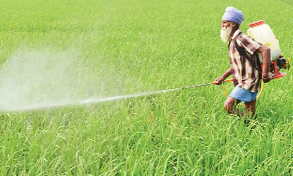 India Pesticides files for Rs. 800 cr IPO India Pesticides files for Rs. 800 cr IPO