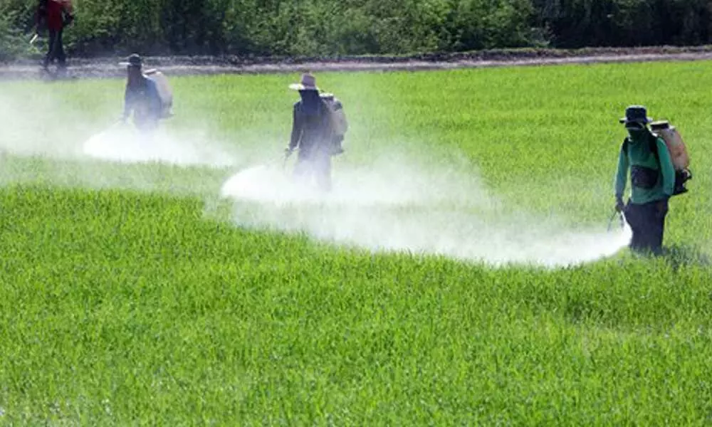 Govt likely to cut GST on pesticides to 5%