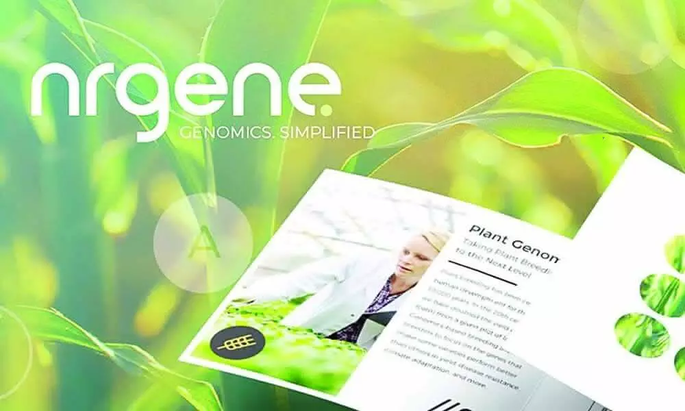 Israeli firm to transfer India-based crop breeding programme to Foragen Seeds Israeli firm to transfer India-based crop breeding programme to Foragen Seeds
