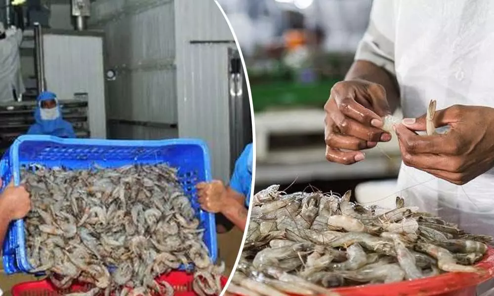 MPeda inks pact with NCDC for promotion of seafood export