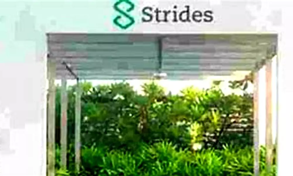 Strides arm gets nod for new drug