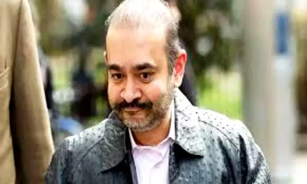 Fugitive Nirav Modis extradition plea rejected by UK high court