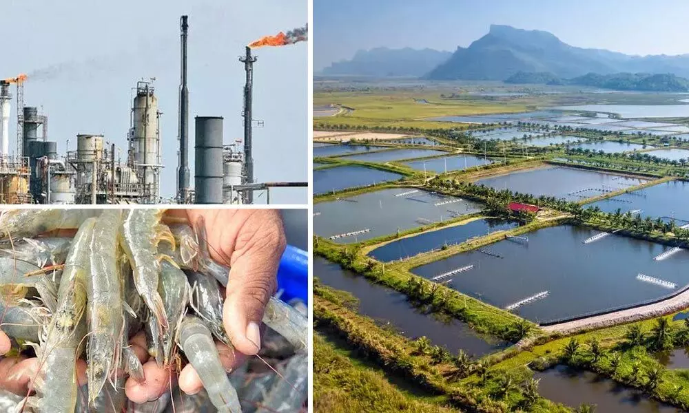 WG awaits industrial leap with bagful resources WG awaits industrial leap with bagful resources
