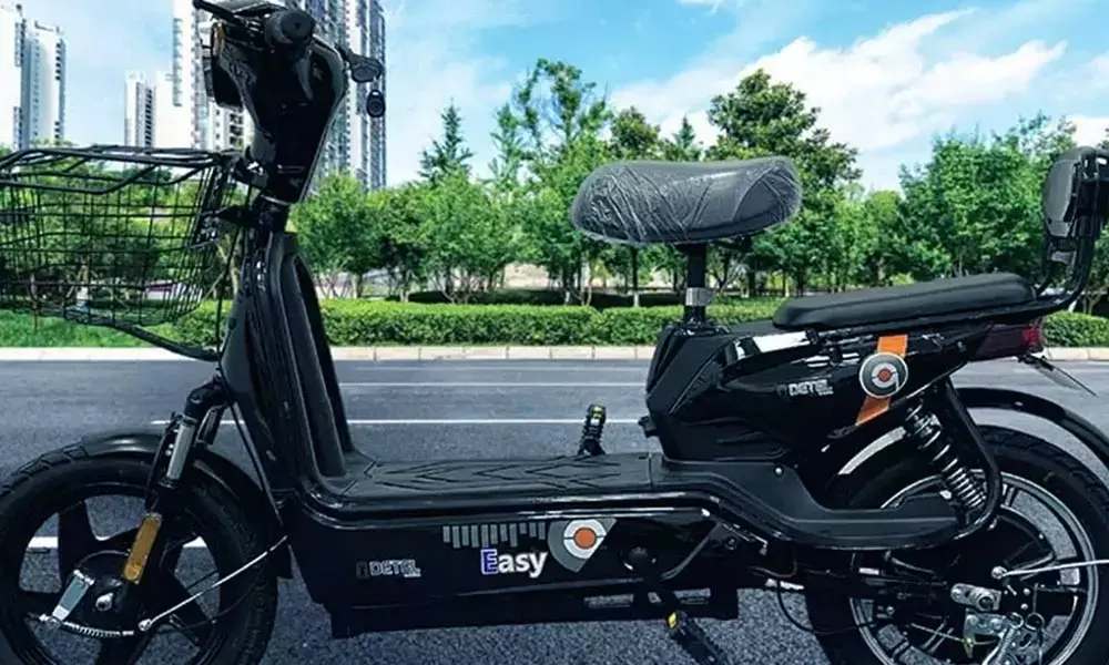 Detel plans to raise Rs 150 cr