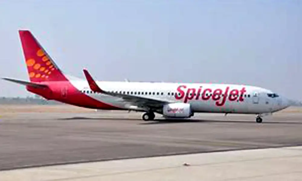 Negative RT-PCR report not required for passengers travelling to Delhi from Maharashtra, Telangana, Andhra: SpiceJet