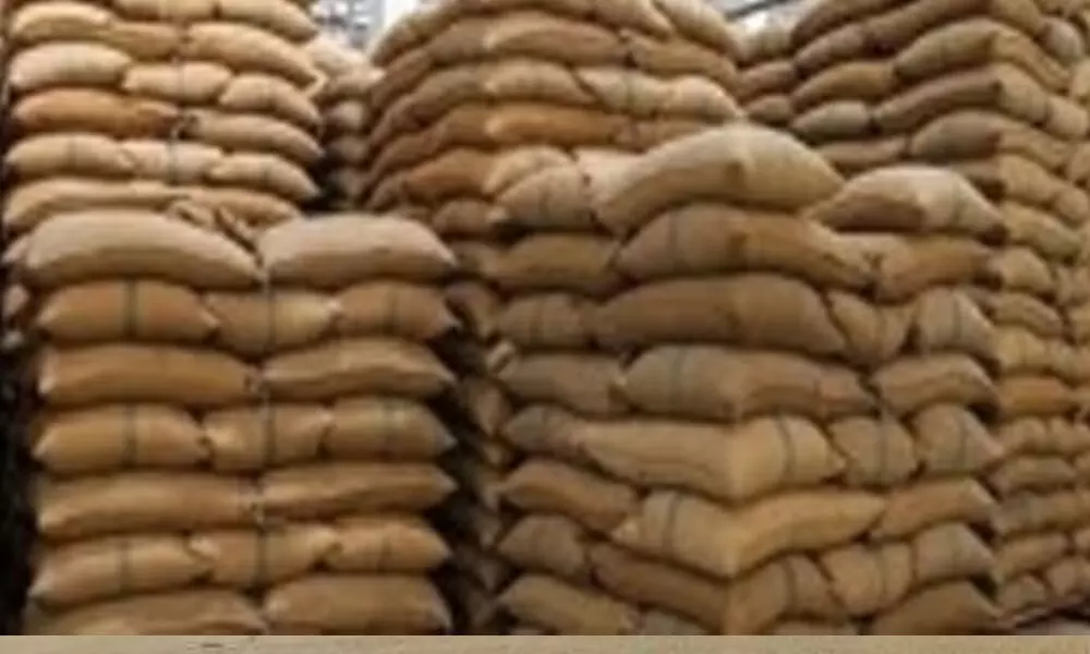 Govt plans to create world-class storage system Govt plans to create world-class storage system