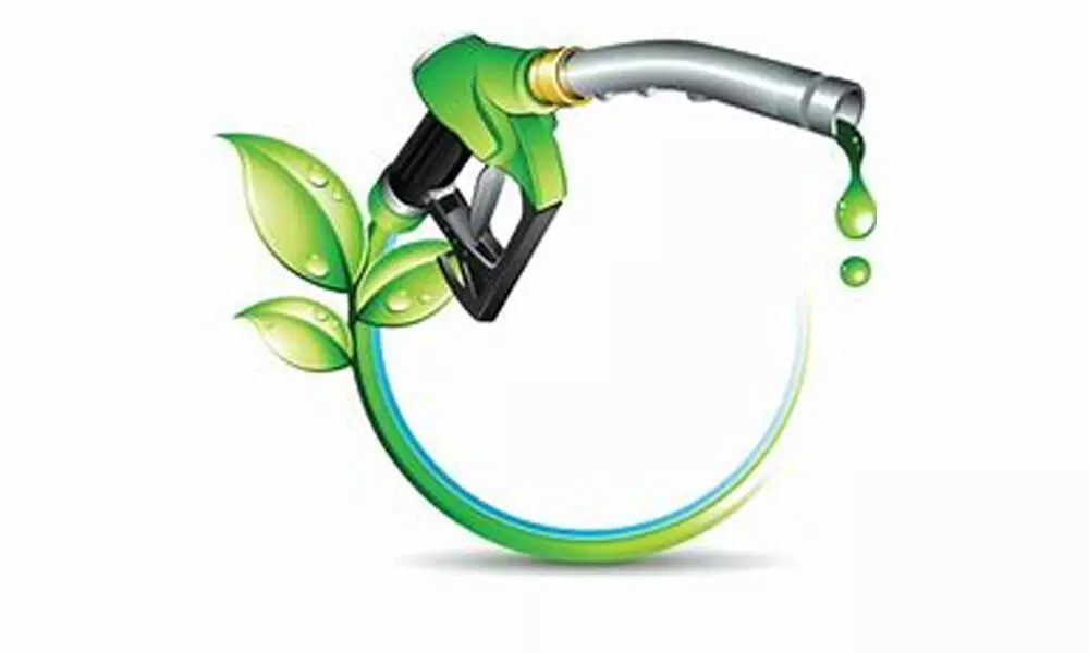 As petrol prices skyrocket sugar industry sees opportunity in ethanol