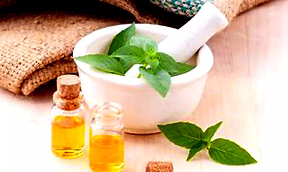 Govt working on formulating standards for AYUSH products