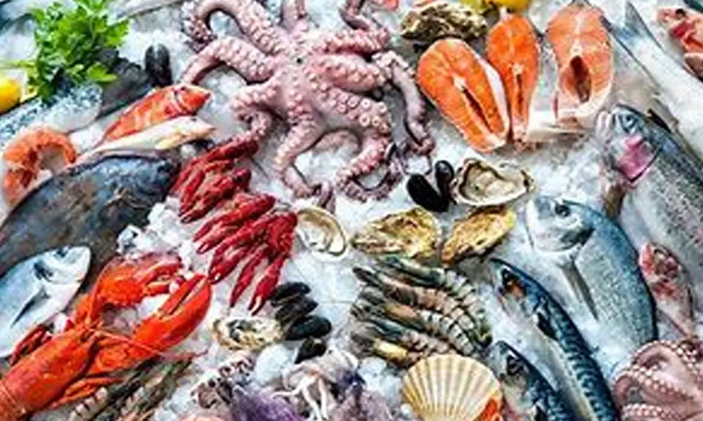 Seafood B2B firm Capital Fresh raises $3 million in seed funding