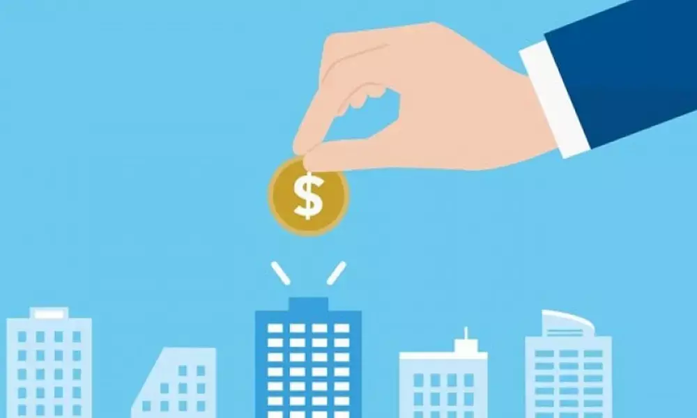 Govt set to launch portal for domestic investors