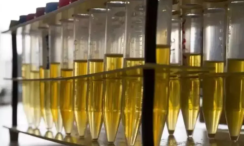 Laxmi Organics in expansion mode; EPS at Rs 2.86