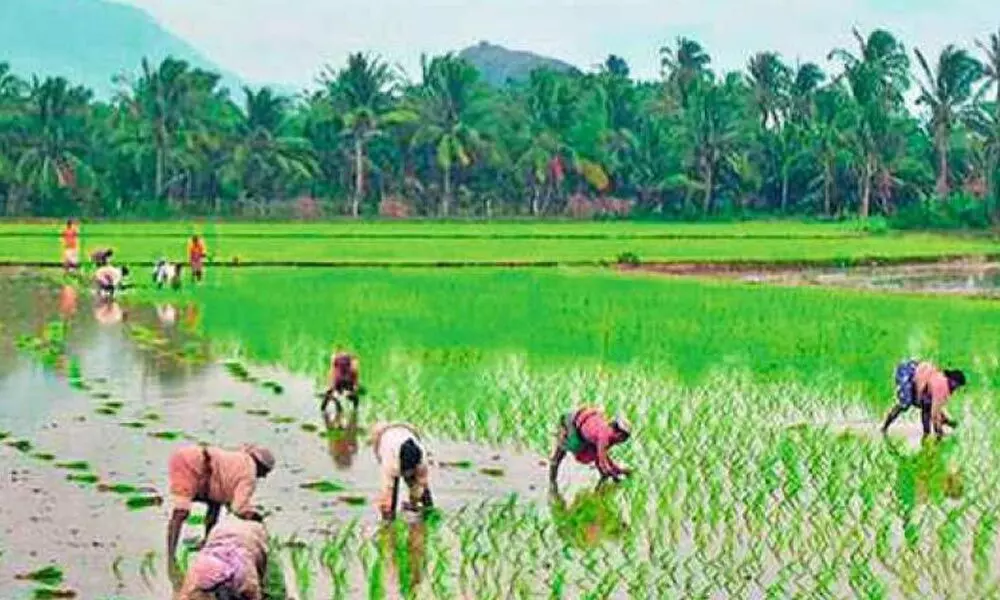 Telangana doubles agri output in 7 years