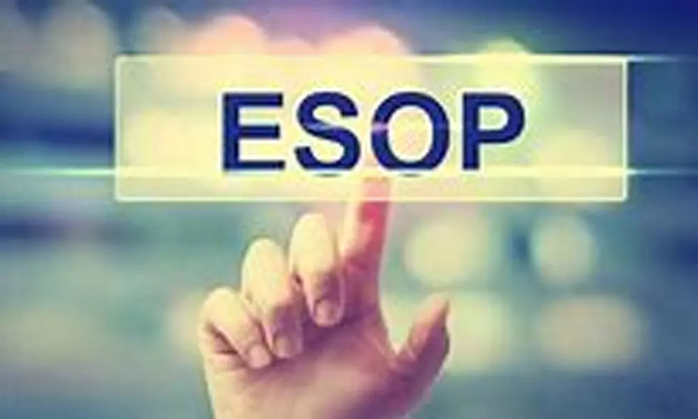 Demand raised for grant of ESOP to independent directors
