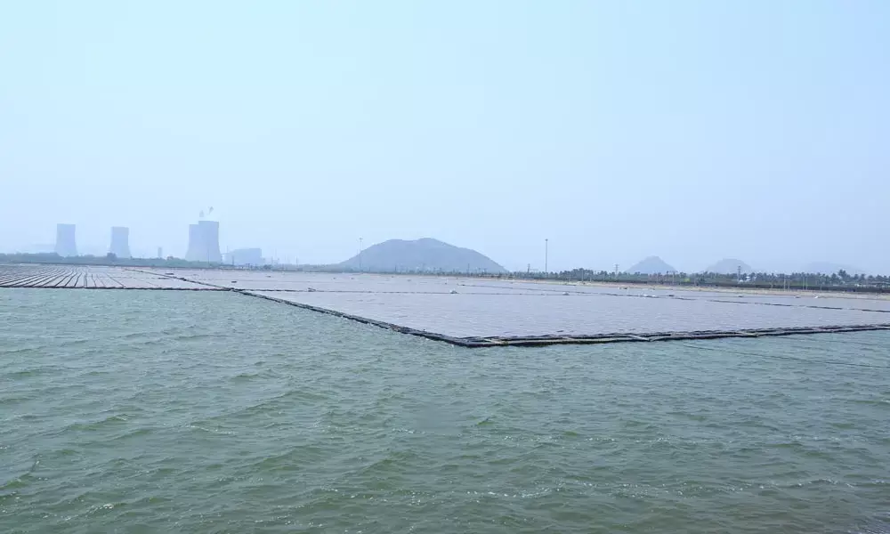 AP’s largest floating solar PV project: NTPC Simhadri begins power generation