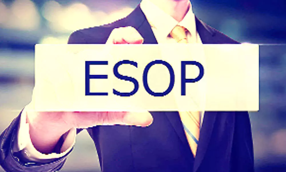 Demand for granting ESOP to ind directors up