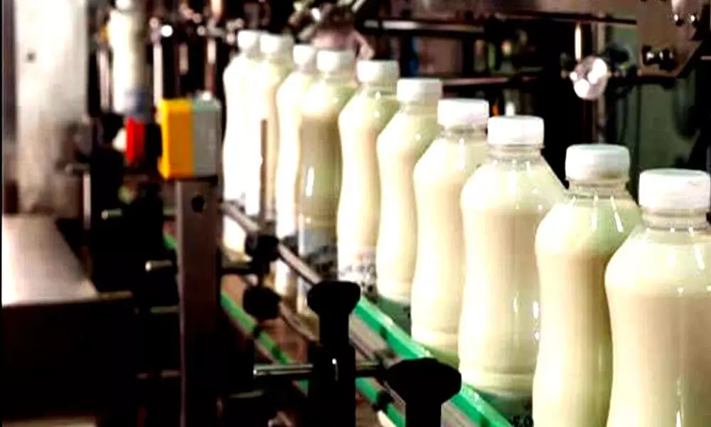 Parag Milk Foods to raise Rs. 316 crore