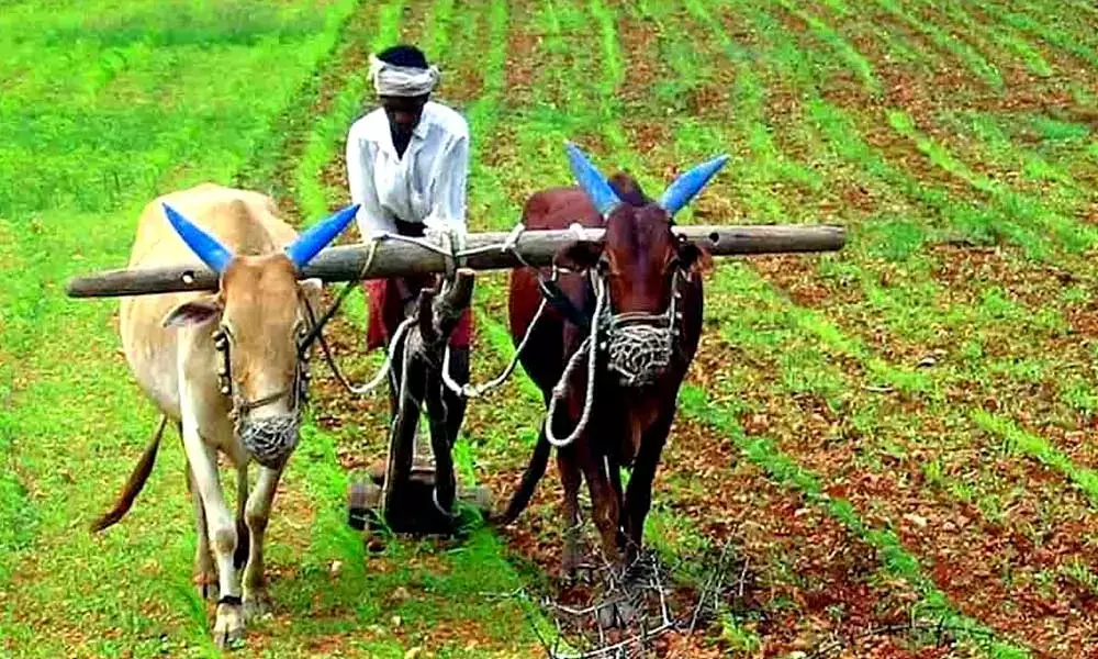 Holistic approach key for agri growth