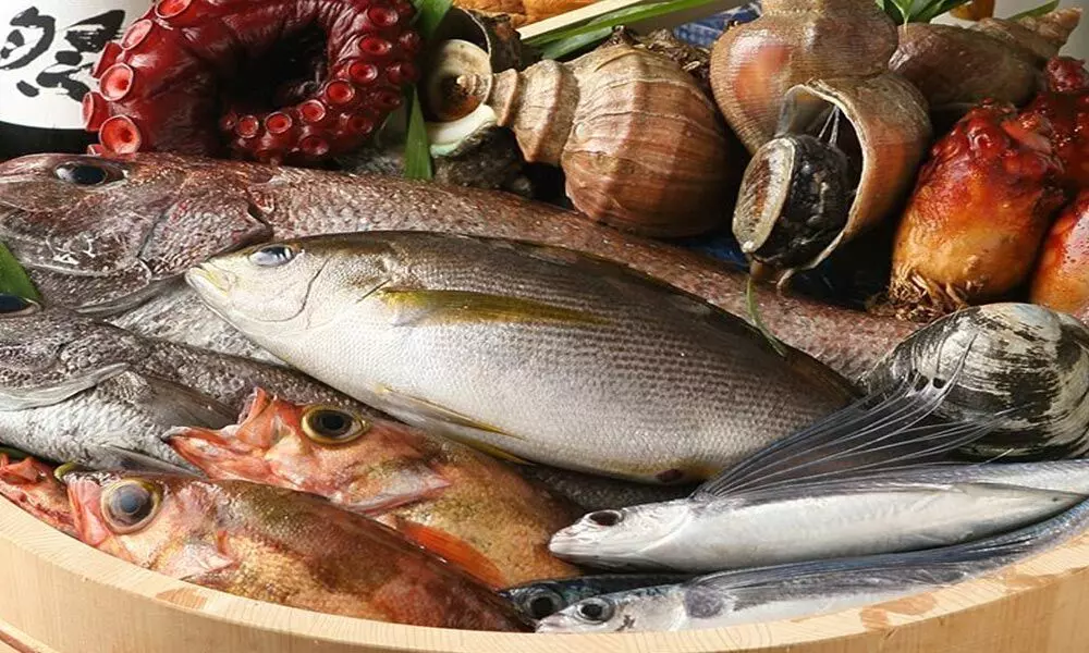 Nandu’s forays into fish, seafood retail Nandu’s forays into fish, seafood retail