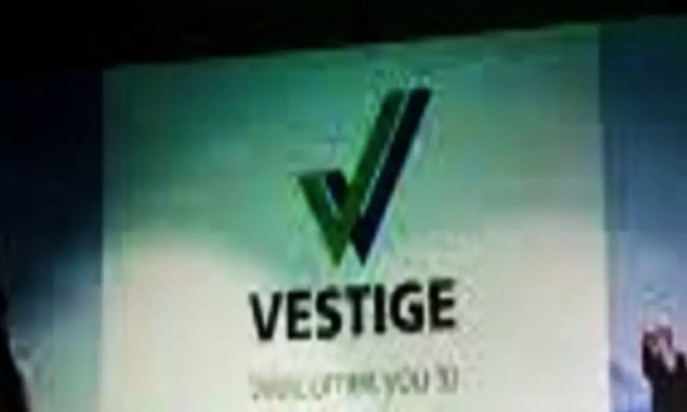 Vestige ranked number 7 in the Direct Selling News list