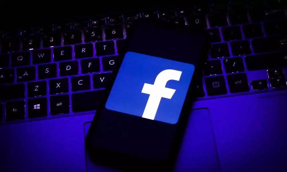 Delhi HC reserves judgement in PIL against Facebook over Rohingya content