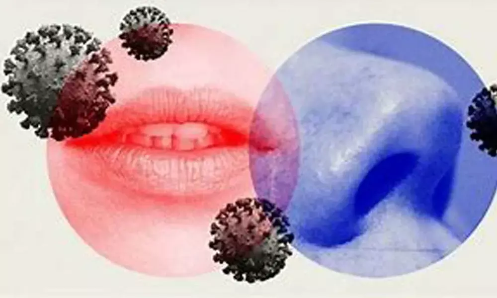 10% mild Covid survivors face loss of smell, taste