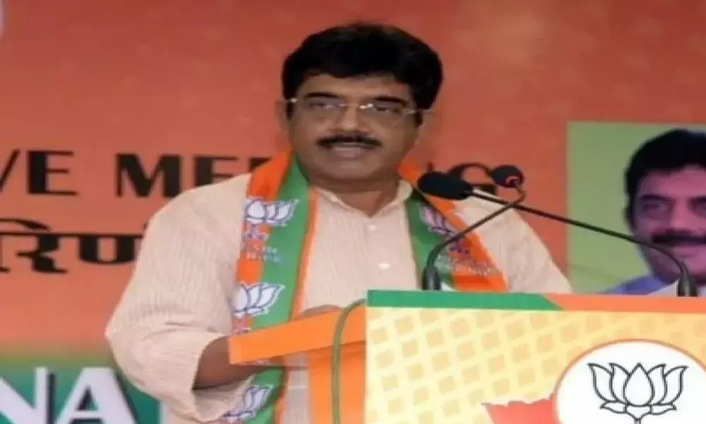 Goa BJP opposes new MV Act