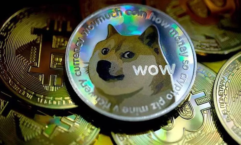 Dogecoin a weird stuff that the investors face