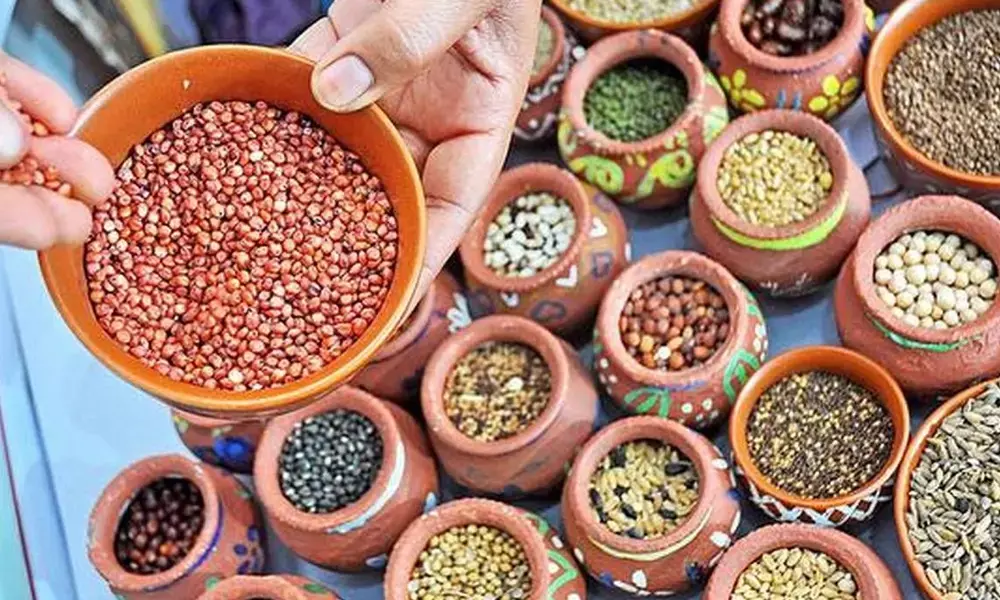 It’s time for govt to promote    immunity-boosting millets