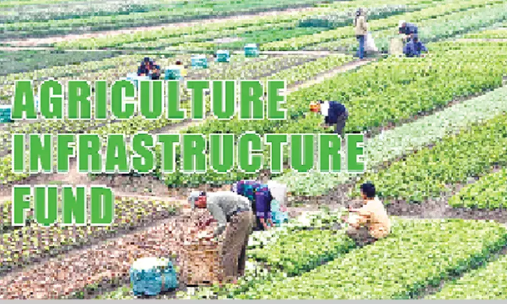 8,665 applications received for agri loan worth ₹ 8,216 cr