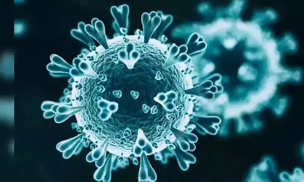 56 more Covid deaths in TS