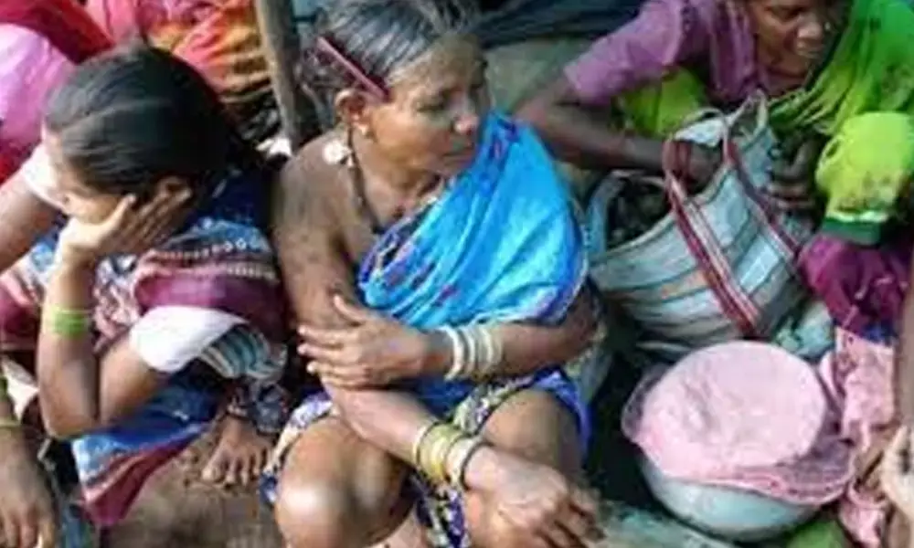 Locals have been using the tuber for centuries for its cooling properties, incorporating it in halwa and thandai. It keeps the body cool and reduces the risk of heatstroke. Capitalising on this quality of tikhur, the women belonging to the Jagriti Balika Self Help Group (SHG) in Dugali village have started making and selling it as a soft drink mix, with the support of the Forest Department
