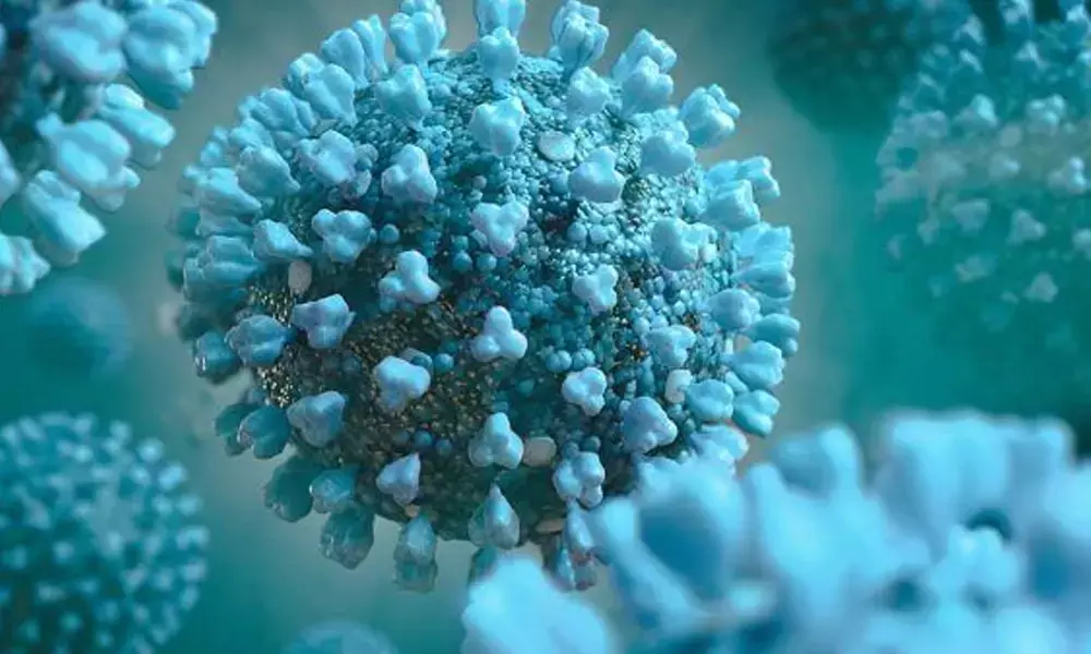 Covid to continue like endemic flu due to variants: Expert