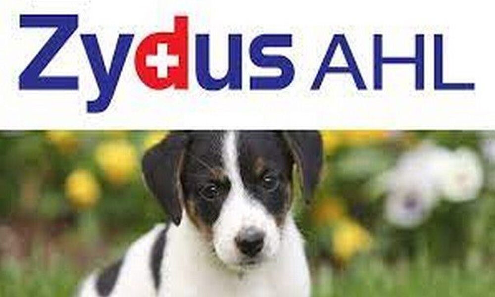 Zydus Animal Health and investment completes sale of animal health