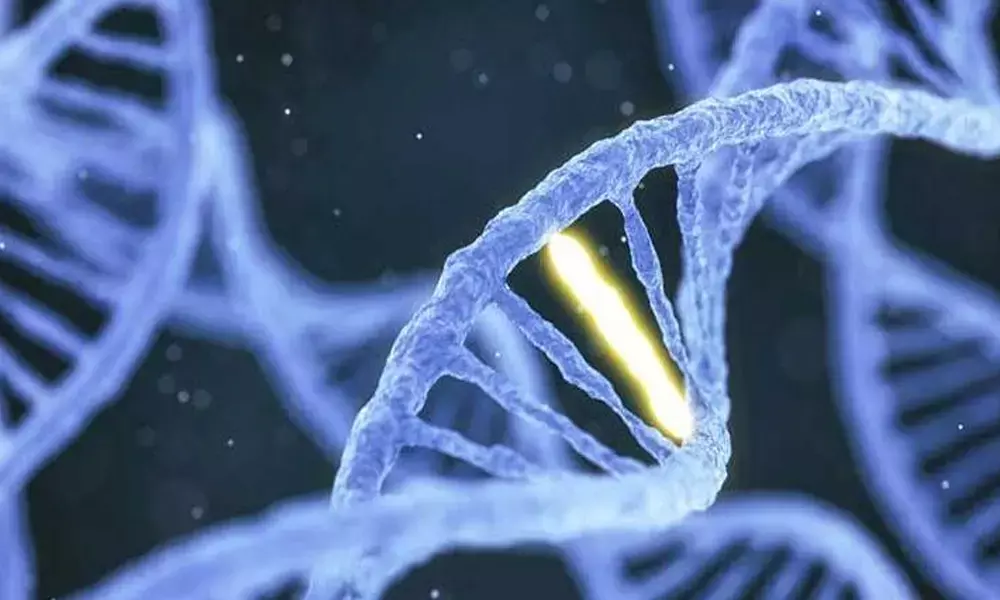 How genome editing could help reduce malnutrition